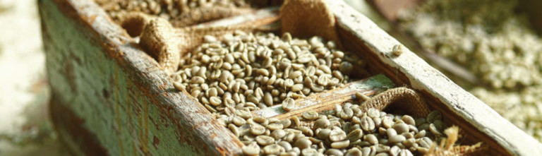 Green-Coffee-Beans